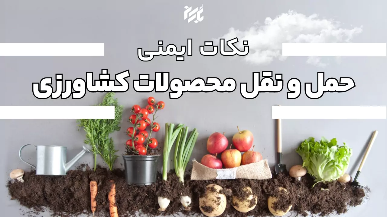 امنیت برای حمل میوه ها و سبزیجات