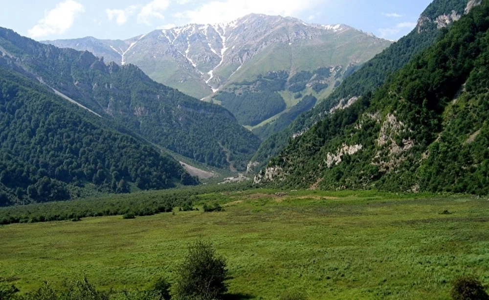 مسیر جنگل زیبا در ایران