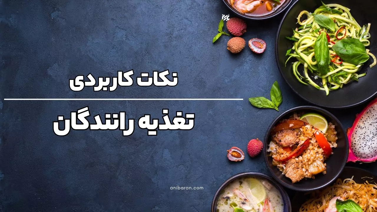 رعایت غذاهای رانندگان